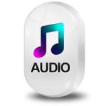 Audio Webcast